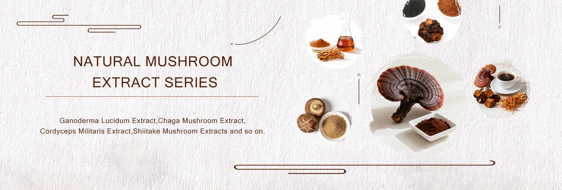 NATURAL MUSHROOM EXTRACT SERIES