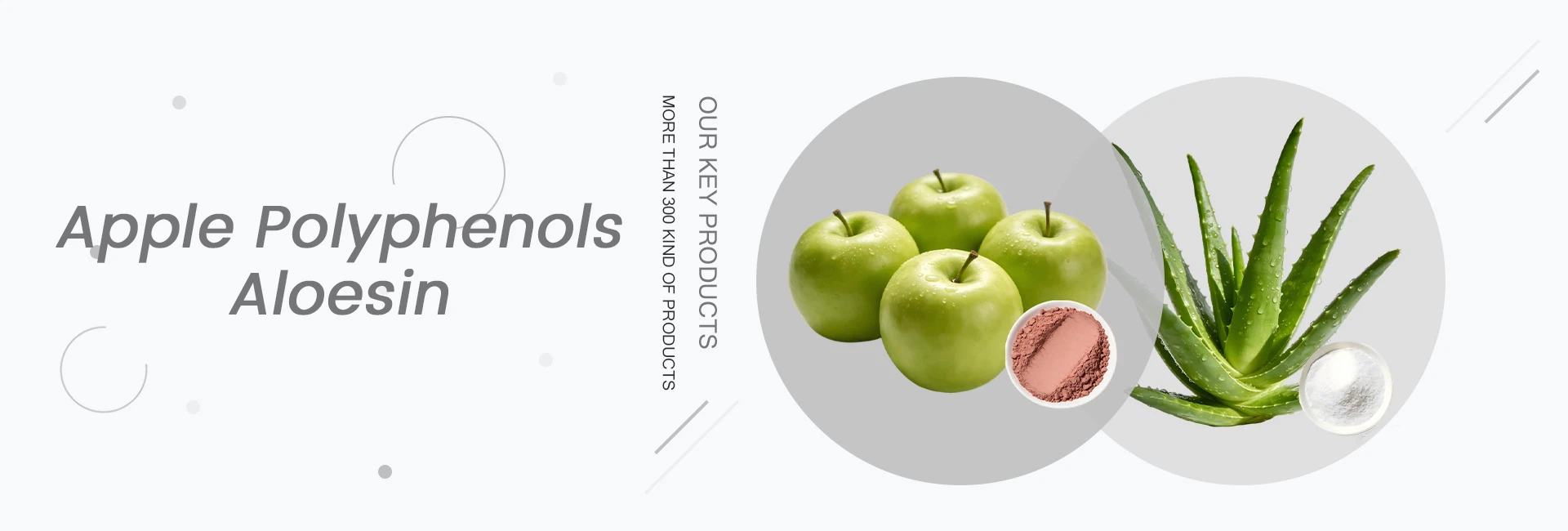 Pomegranate Extract Powder